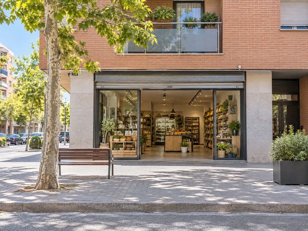 Comercio con la persiana metálica subida y la acera despejada a media mañana